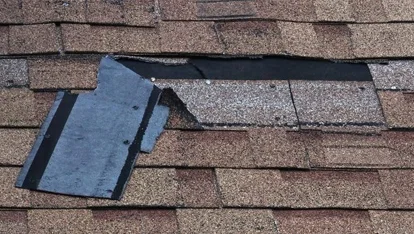 replace-damaged-shingles-and-sections