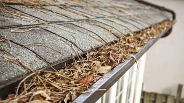 clogged-or-broken-gutters