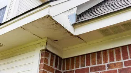 dark-streaks-under-the-eaves