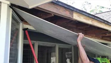 deep-rot-removal