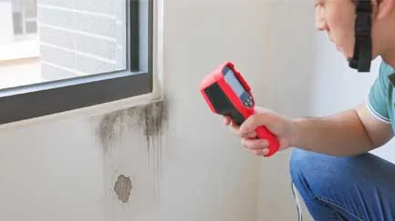 finding-hidden-moisture-fast