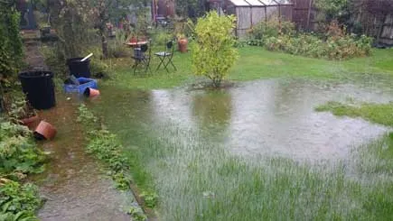 garden-driveway-saving