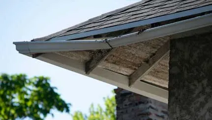 gentle-old-gutter-removal