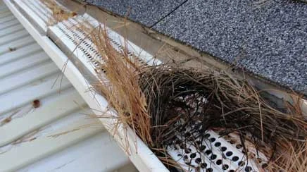 gutter-guard-installation-add-on