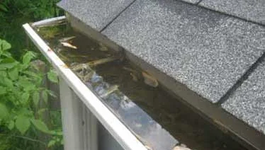landscape-washout-control