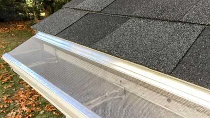 leaf-guard-protection