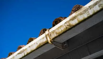 leaky-joints-and-seams