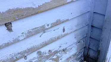 peeling-paint-patches