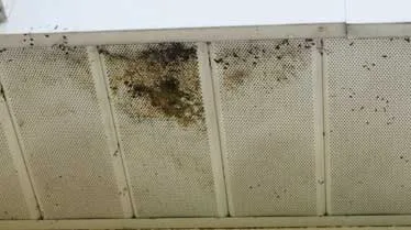 stains-and-discoloration