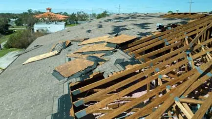 structural-damage-review