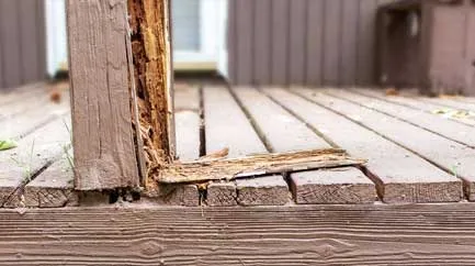 visible-wood-rot-or-soft-spots